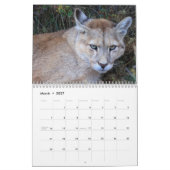 Kalenderpumpen 2023 des Chilen Kalender (Mär 2027)
