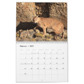 Kalenderpumpen 2023 des Chilen Kalender (Feb 2027)