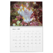 Kalenders & Sea Slugs Kalender (Mär 2027)