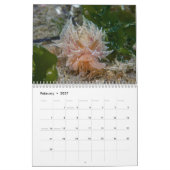 Kalenders & Sea Slugs Kalender (Feb 2027)