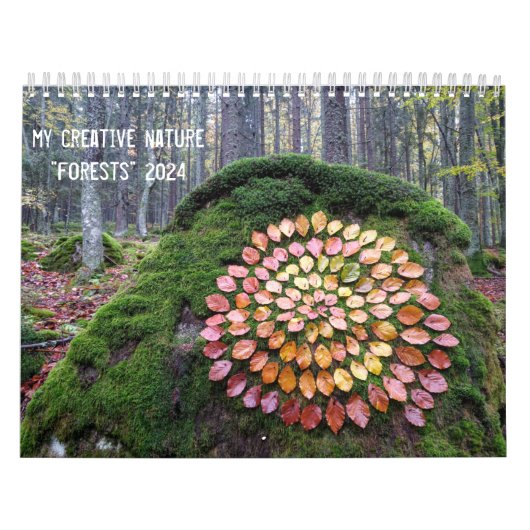 Kalenderwälder 2024 Art Landart Kalender (Titelbild)