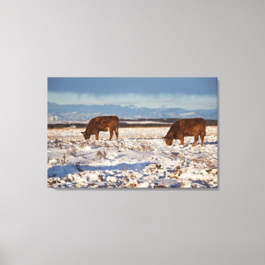 Kalgary, Alberta, Canada 2 Leinwanddruck (Vorderseite)