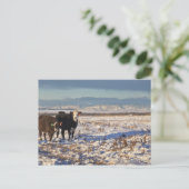 Kalgary, Alberta, Canada Postkarte (Stehend Vorderseite)