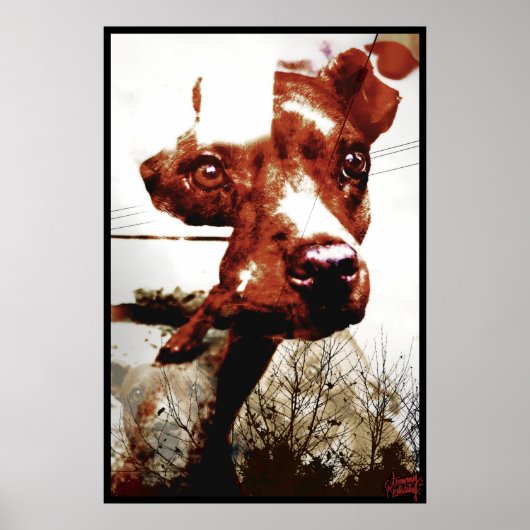 Kali Doggy Poster (Vorne)