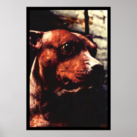 Kali Tree Poster (Vorne)