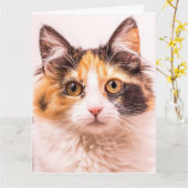 KALICO NIEDLICHE KATZGEBURTSTAGSKARTE KARTE (Gelbe Blume)