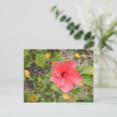 KALIFORNIA DESERT BLUME #1 POSTKARTE (Stehend Vorderseite)