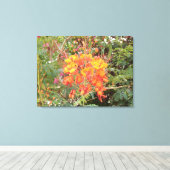 KALIFORNIA DESERT BLUME 2 LEINWANDDRUCK (Insitu (Holzboden))