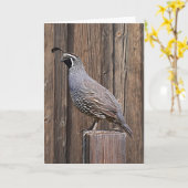 KALIFORNIA QUAIL AUF BARNBOARD KARTE (Gelbe Blume)