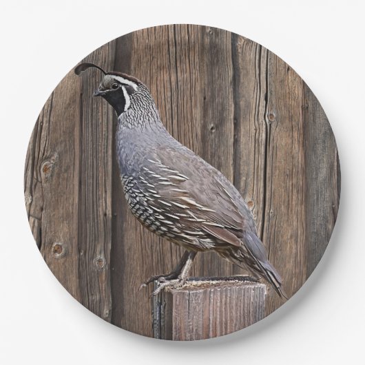 KALIFORNIA QUAIL AUF BARNBOARD PAPPTELLER (Vorderseite)