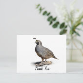 KALIFORNIA QUAIL - DANKE POSTKARTE (Stehend Vorderseite)