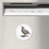 KALIFORNIA QUAIL MAGNET (In Situ (Geschirrspüler))