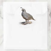 KALIFORNIA QUAIL RUNDER AUFKLEBER (Tasche)
