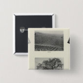 Kalifornien 4 button (Vorne & Hinten)