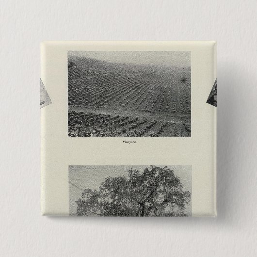 Kalifornien 4 button (Vorderseite)