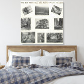 Kalifornien 4 leinwanddruck (Insitu (Schlafzimmer))