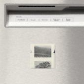 Kalifornien 4 magnet (In Situ (Geschirrspüler))