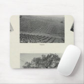 Kalifornien 4 mousepad (Mit Mouse)