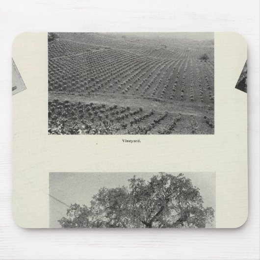 Kalifornien 4 mousepad (Vorne)