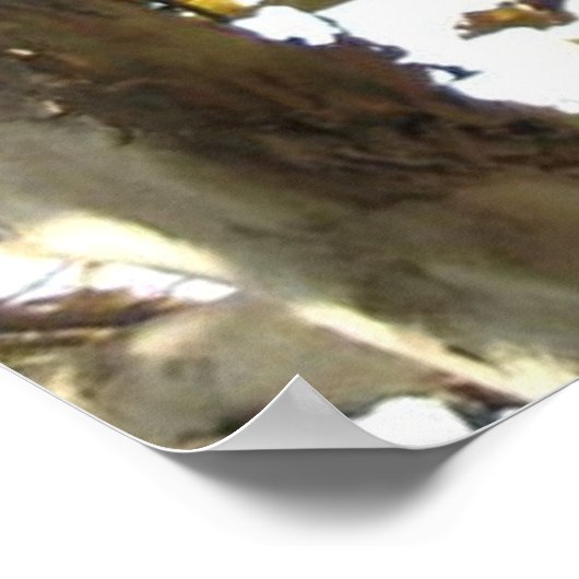 Kalifornien 66 poster (Ecke)