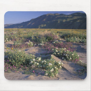 Kalifornien, Anza-Borrego Desert SP, Sand Mousepad