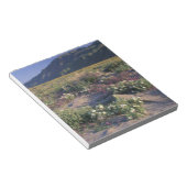 Kalifornien, Anza-Borrego Desert SP, Sand Notizblock (angewinkelt)