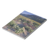 Kalifornien, Anza-Borrego Desert SP, Sand Notizblock (Rotiert)