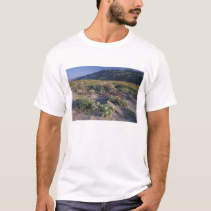 Kalifornien, Anza-Borrego Desert SP, Sand T-Shirt