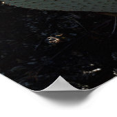 Kalifornien, Anza Borrego Wüste Staat Park 1 Poster (Ecke)