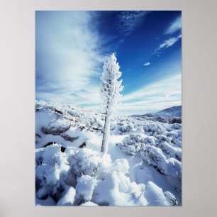 Kalifornien, Anza Borrego Wüste Staat Park 2 Poster