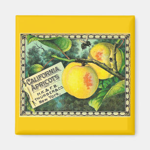 Kalifornien-Aprikosen - Vintager Kisten-Aufkleber Magnet