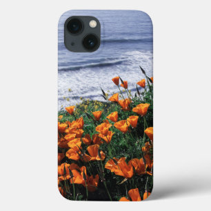 Kalifornien, Big Sur Küste, Kalifornischer Mohn Case-Mate iPhone Hülle