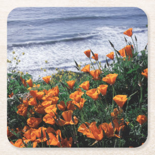 Kalifornien, Big Sur Küste, Kalifornischer Mohn Rechteckiger Pappuntersetzer