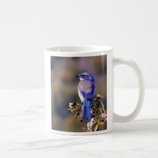 Kalifornien-Blau Kaffeetasse