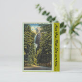 Kalifornien, Bridal Veil Falls Postkarte (Stehend Vorderseite)