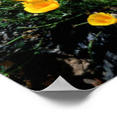 Kalifornien, die riesige Küste, die Zentralküste 1 Poster (Ecke)