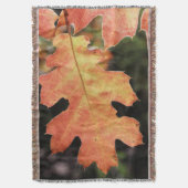 Kalifornien, ein herbstfarbenes Eichenblatt Decke (Vorderseite Vertikal)