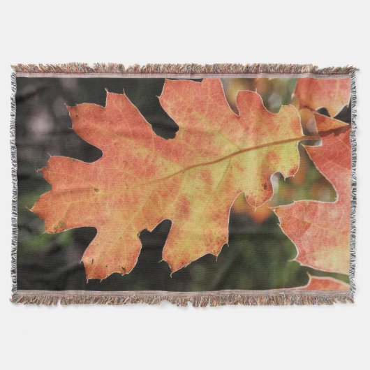 Kalifornien, ein herbstfarbenes Eichenblatt Decke (Vorderseite)