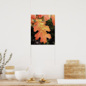 Kalifornien, ein herbstfarbenes Eichenblatt Poster (Küche)