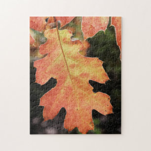 Kalifornien, ein herbstlich gefärbtes Eichenblatt Puzzle