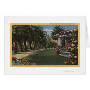 Kalifornien Ein schattiger Palmenspaziergang