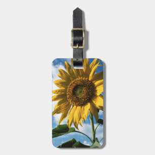 Kalifornien, eine riesige Sonnenblume (Helianthus) Gepäckanhänger