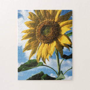 Kalifornien, eine riesige Sonnenblume (Helianthus) Puzzle