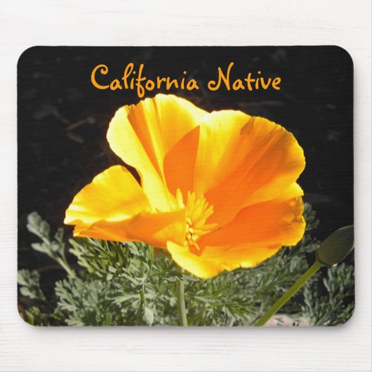 Kalifornien-Eingeborener Mousepad (Vorne)