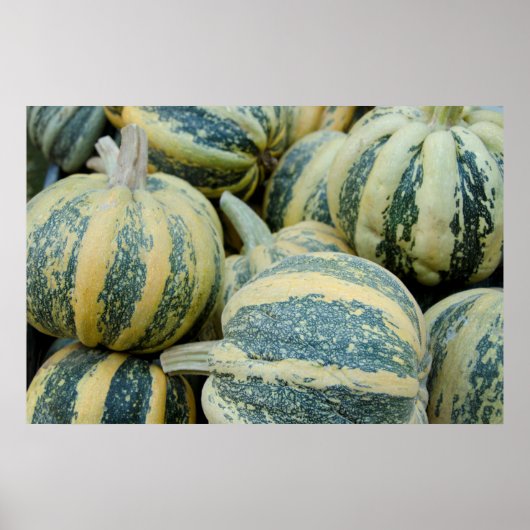 Kalifornien. Fall Ernte in Kalifornien Poster (Vorne)