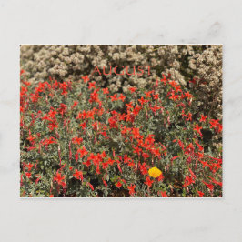 KALIFORNIEN FARBE FEIERFEIERN: AUGUST POSTCARD POSTKARTE