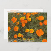 KALIFORNIEN FARBE FEIERFEIERN: FEBRUAR POSTCARD POSTKARTE (Vorne/Hinten)