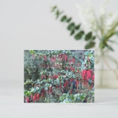 KALIFORNIEN FARBFEIERSCHAFT: JANUAR POSTCARD POSTKARTE (Stehend Vorderseite)