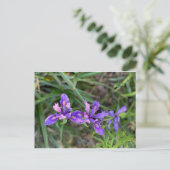 KALIFORNIEN FARBFEIERUNG: MAG POSTCARD POSTKARTE (Stehend Vorderseite)