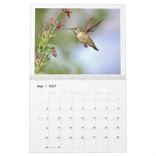 Kalifornien-Hummingvögel 2024-Kalender Kalender (Mai 2027)